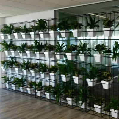 attache pot plant vertical garden