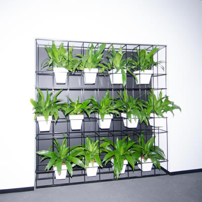 Horticulture of Australia Pot Plant Vertical Garden (L)