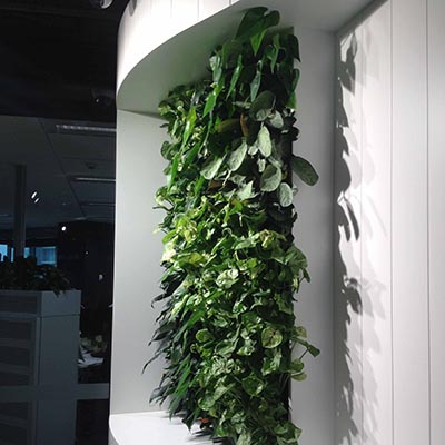 versa-green-wall-client-lend-lease