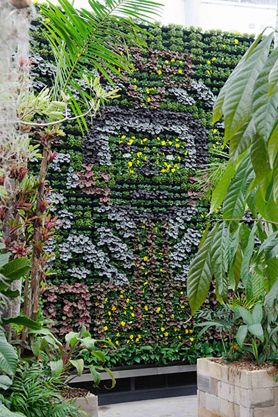 RBGS Green wall-49-2-400x600h