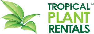tropical plant rentals