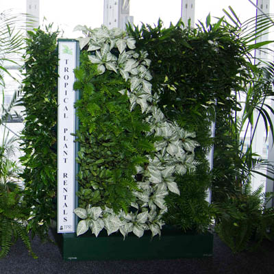 TPR PV290 Green Wall Hire for Events