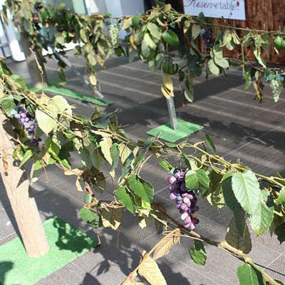 Event Prop Hire - Artificial Grapes
