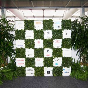 Tropical Plant rentals - Office & Indoor Plant Hire - Media Wall Inspire