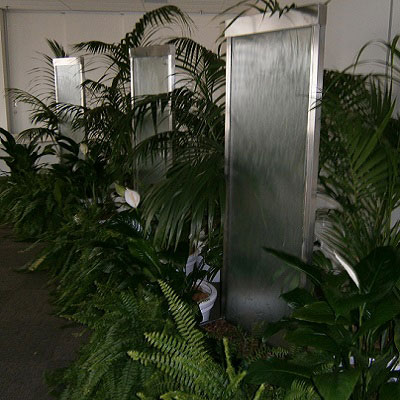 Event prop hire - Water features - Tropical jungle theme - kentia, boston fern, spath