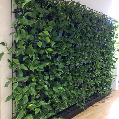 Pot Plant Vertical Green Wall