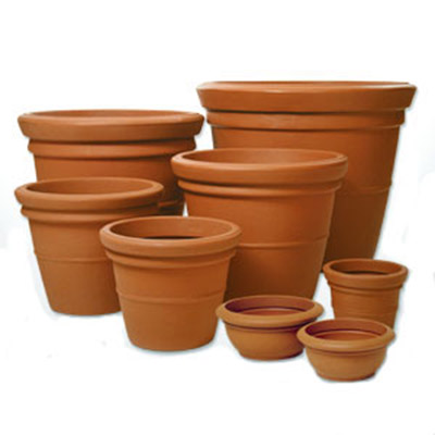 terracotta pot plants