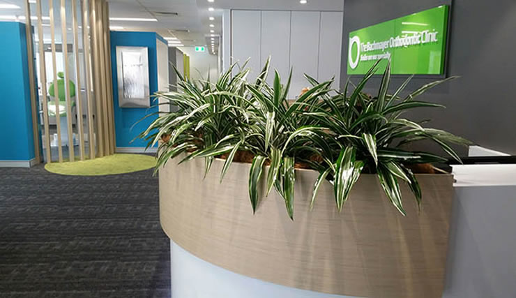 client image indoor office plants
