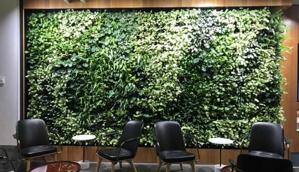 green wall in foyer