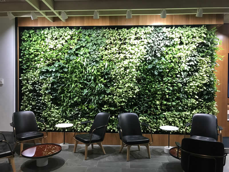 green wall in foyer