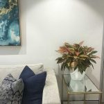 indoor plants in reception area