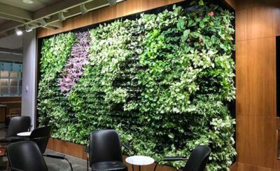 Green Wall Hire | Vertical Garden Hire | Tropical Plant Rentals | Sydney