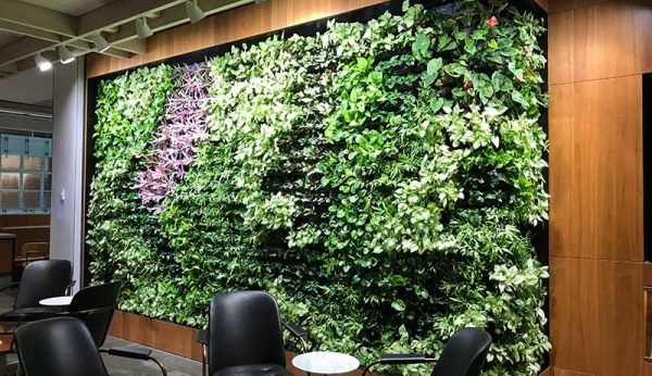 green wall design for office