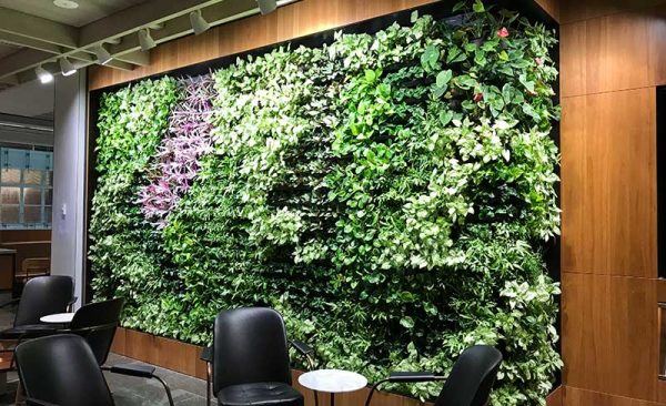 green wall design for office