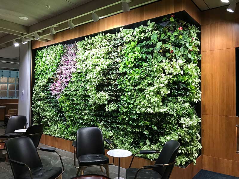 green wall design for office