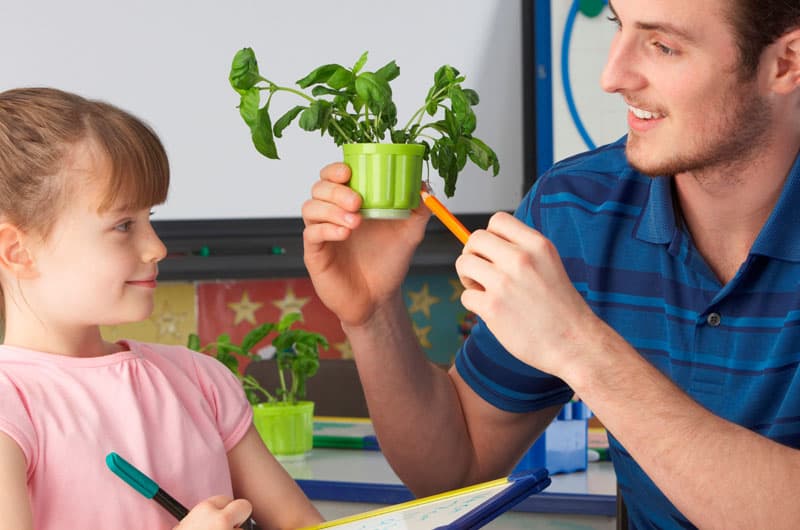 Plants in Classrooms