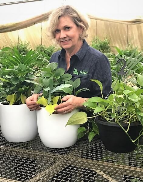 Meet Jayne - Tropical Plant Rentals - Office Plant Hire