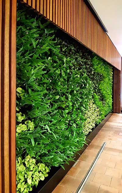 Green Wall innovators