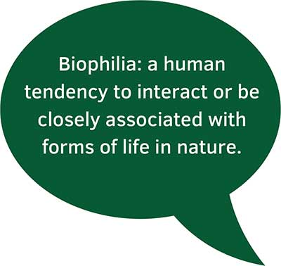 Biophilia speech bubble