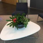 indoor plant office table