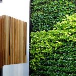 green wall installation hire western sydney