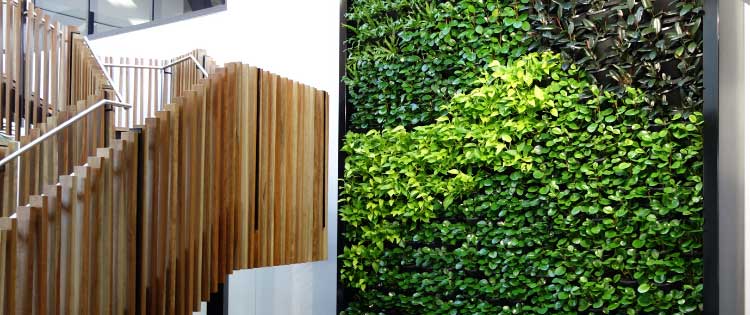 green wall installation hire western sydney