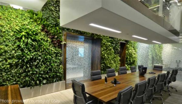 gsky green wall hire