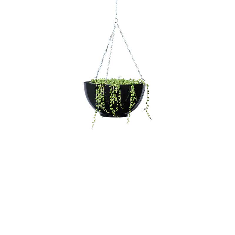 string of pearls hanging bowl black