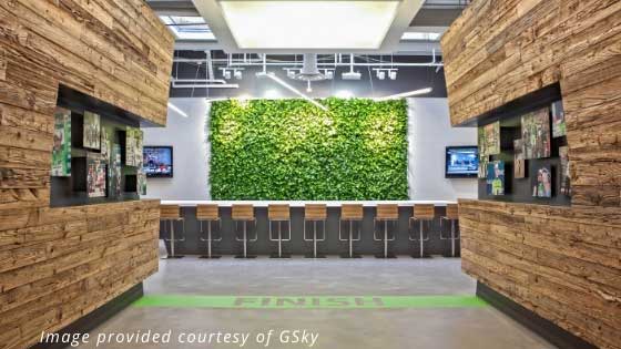 The Importance Of Biophilic Design In The Workplace Tropical Plant
