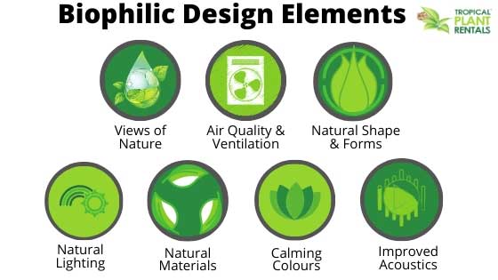 biophilic design elements tropical plant rentals