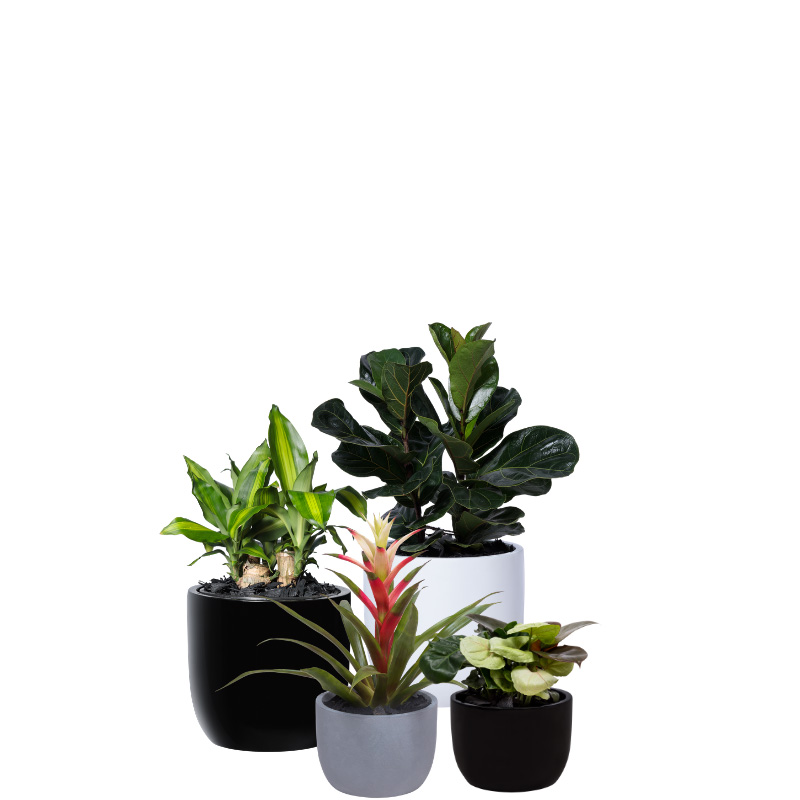 pot range mini desktop garden