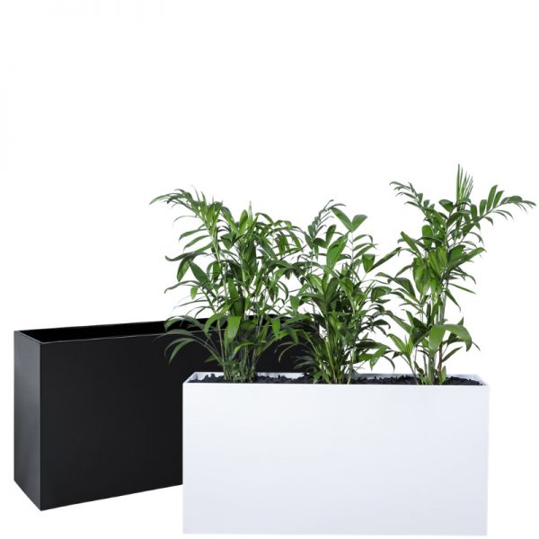 Plant Pot Hire | Tropical Plant Rentals