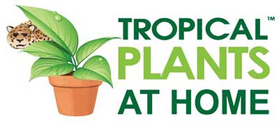 Tropical Plants at Home logo