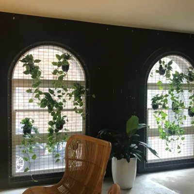 Green Wall for Classrooms and Schools
