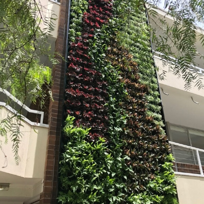 exterior living green wall