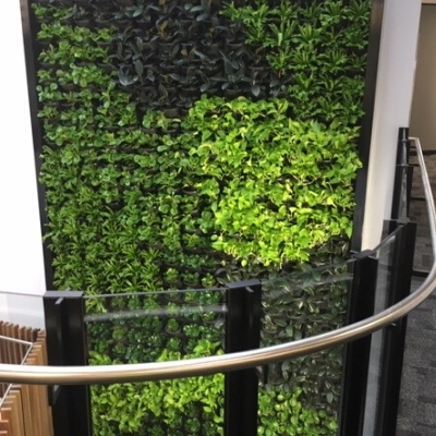 green wall vertical garden office 8