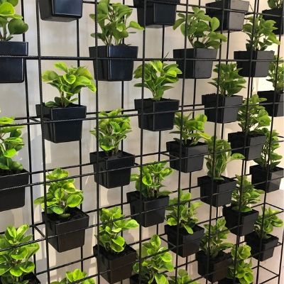 Pot plant vertical garden display in office - Office Plant Hire Sydney