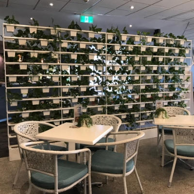 Pot plant vertical garden privacy screening for restaurant- Indoor Plant Hire Sydney