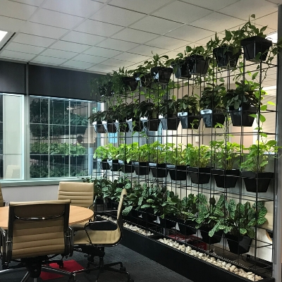 Pot plant vertical garden wall office privacy screen 2