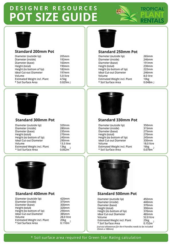 plant-pot-size-guide-commercial-nursery-johnsons-of-whixley-home