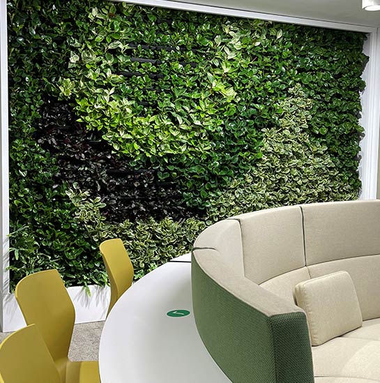 Office plant and pot hire - Green Walls
