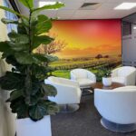 Indoor office plant hire