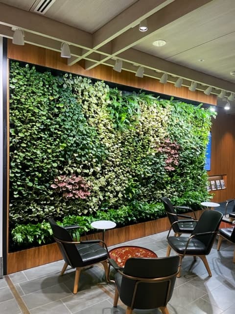 Green Wall Hire Hills District
