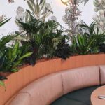The Best Low Light Indoor Plants for your Office Space