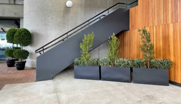 TPR Indoor plant hire near stairs