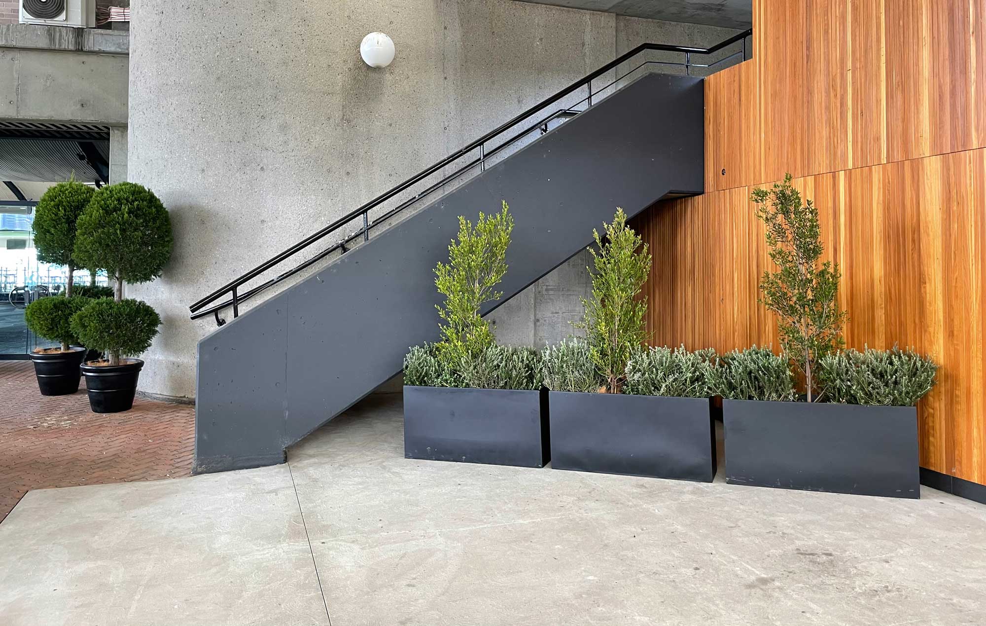 TPR Indoor plant hire near stairs