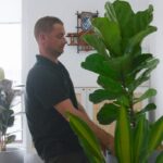 Drinkworks approached Tropical Plant Rentals