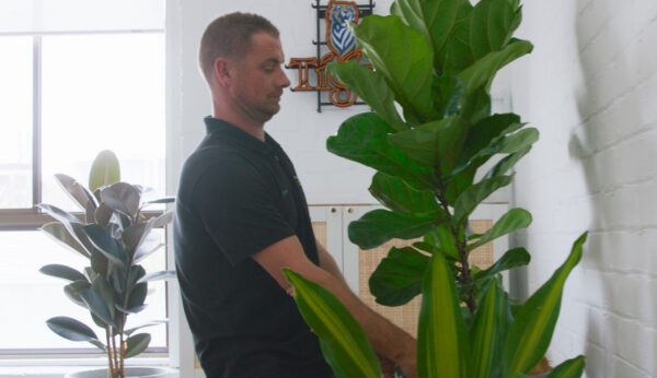 Drinkworks approached Tropical Plant Rentals