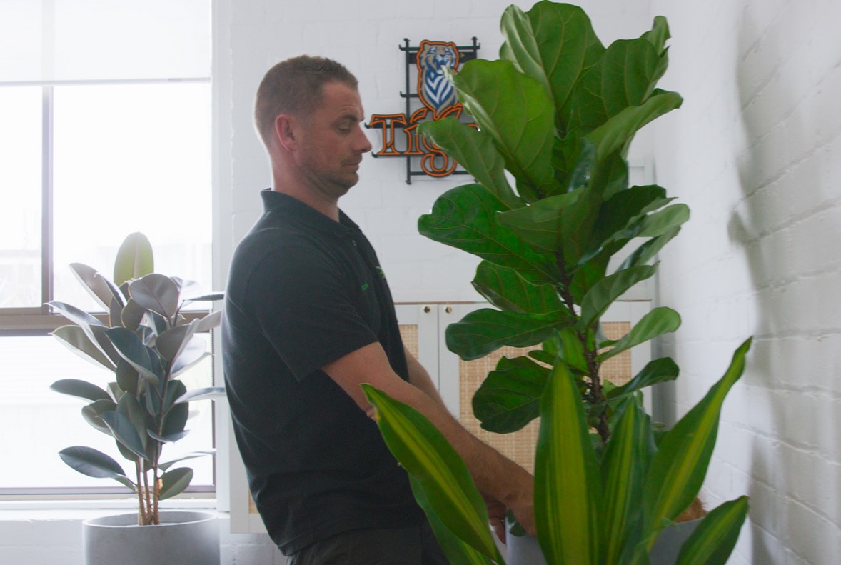 Drinkworks approached Tropical Plant Rentals