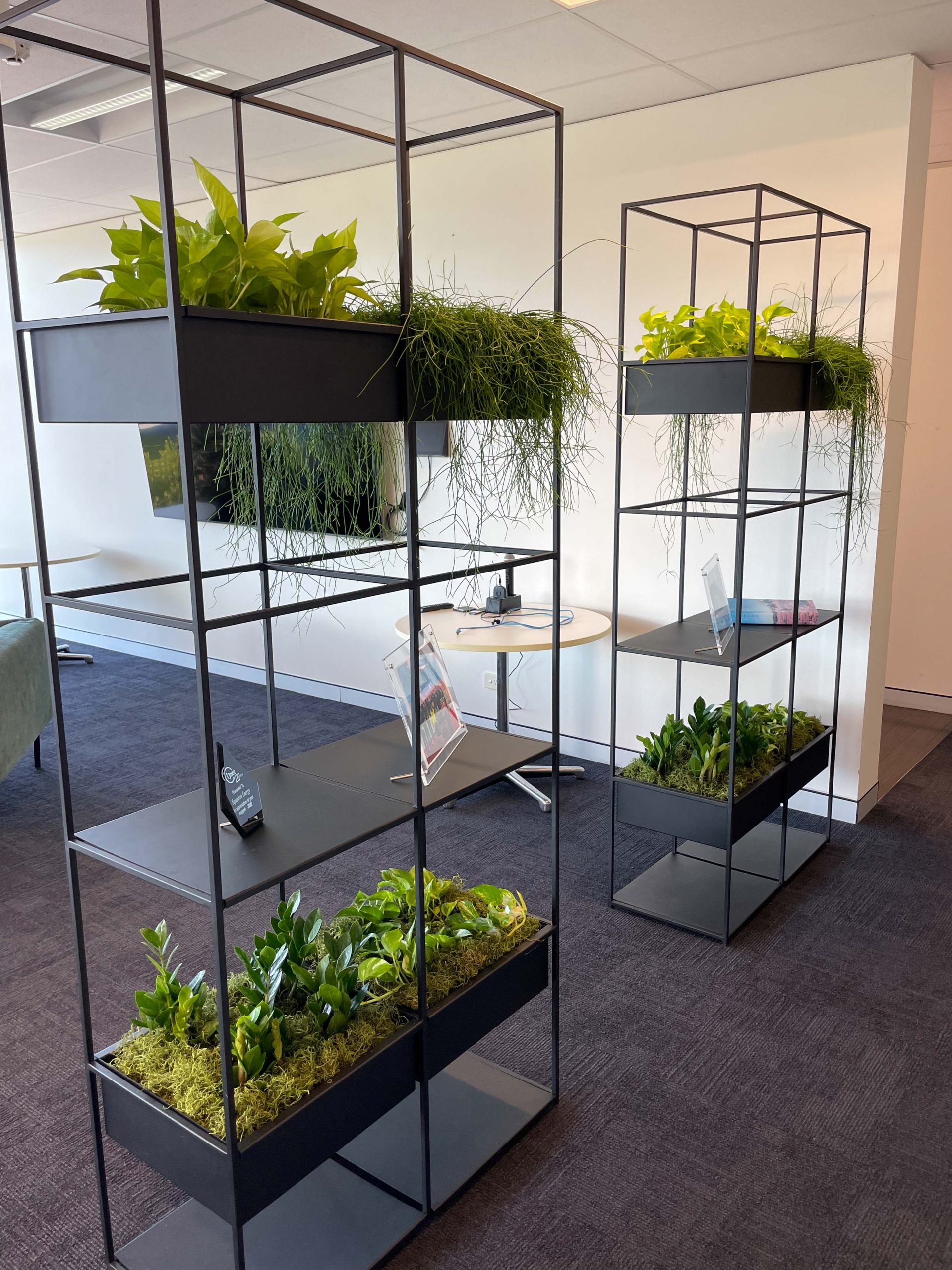 plants hire